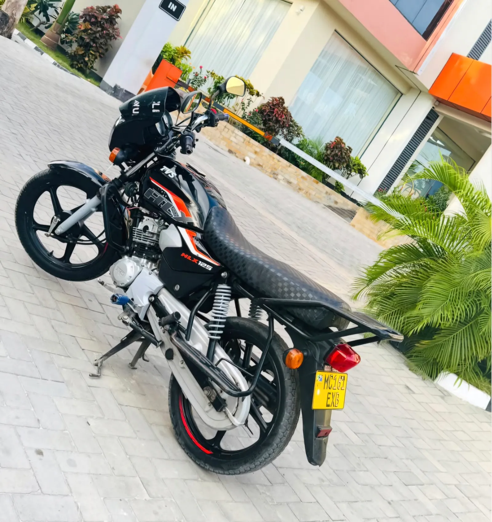 TVS HLX — Nyuma