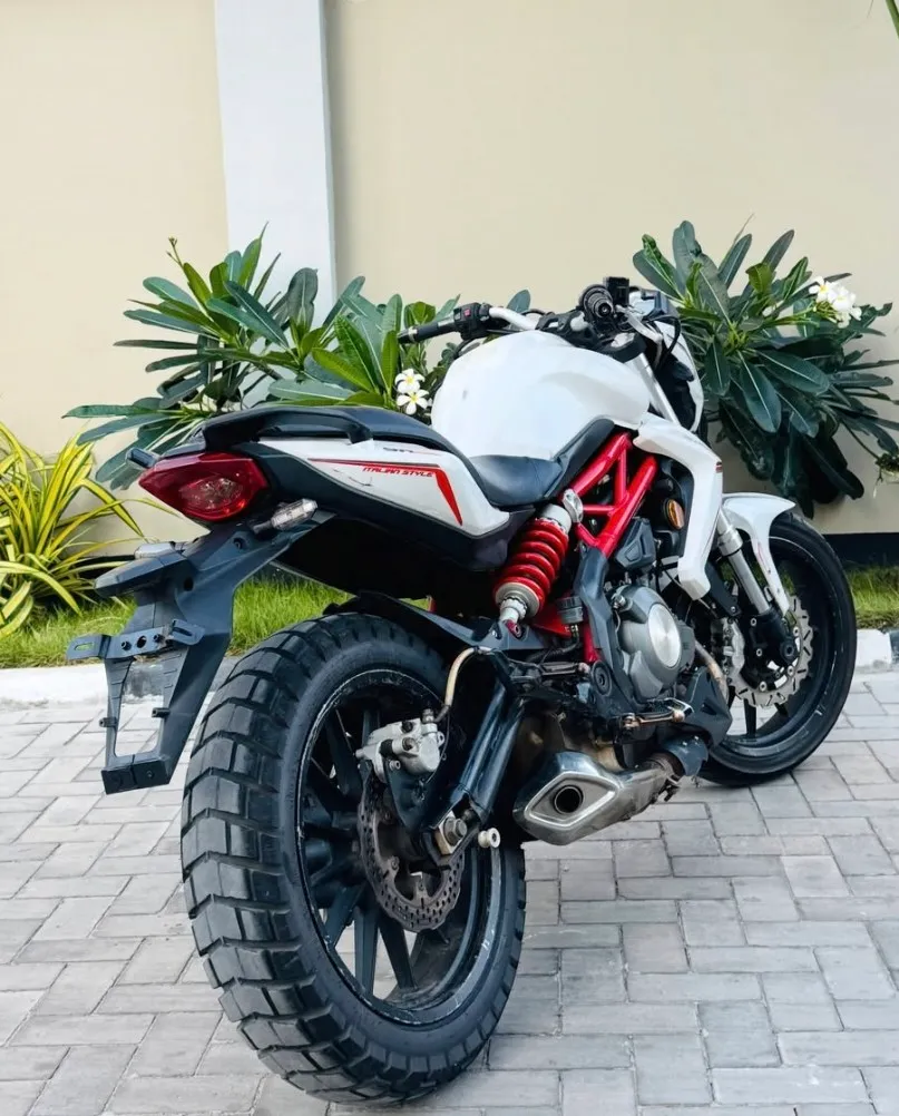 Benelli 302S — Nyuma