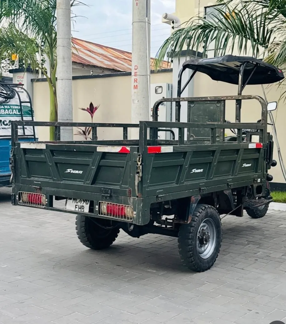 SINORAY Q6 GUTA — Nyuma
