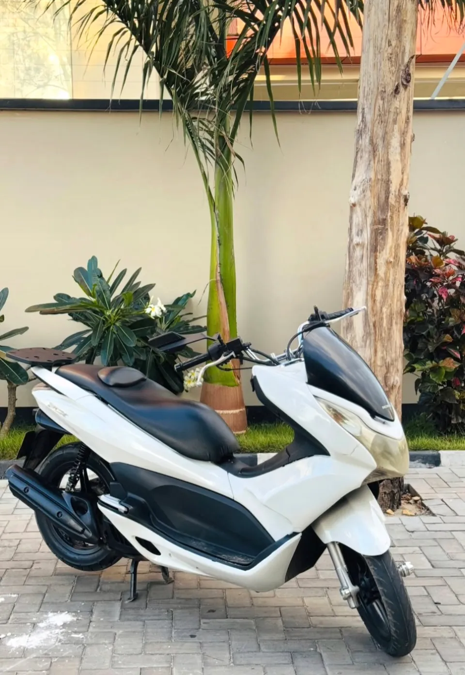 HONDA PCX — Nyuma