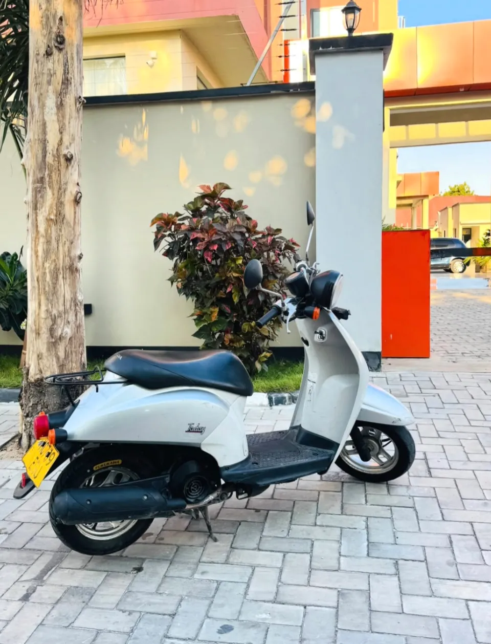 HONDA TO DAY CC 50 — Nyuma
