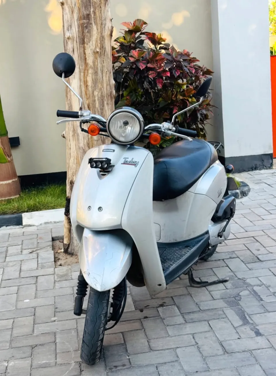 HONDA TO DAY CC 50